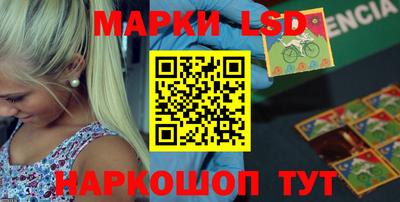 стафф Донецк