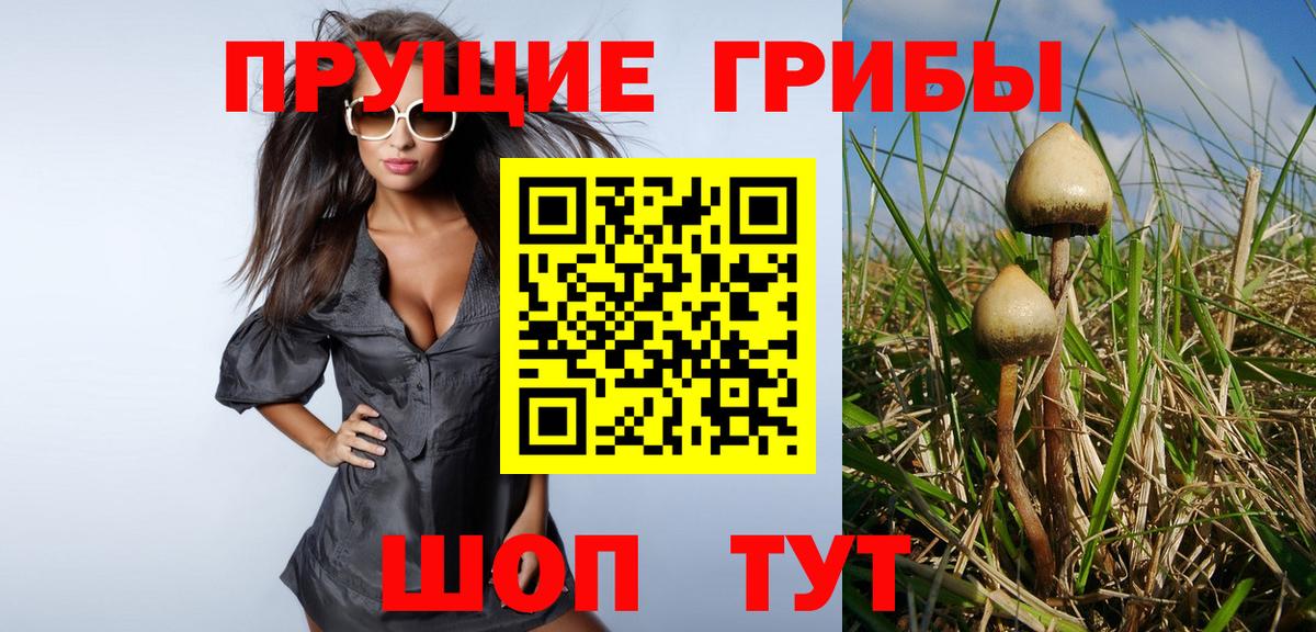 Мурино  Псилоцибиновые грибы ЛСД  Вход с VPN 